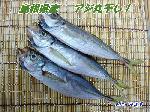 アジ丸干し２８尾入り